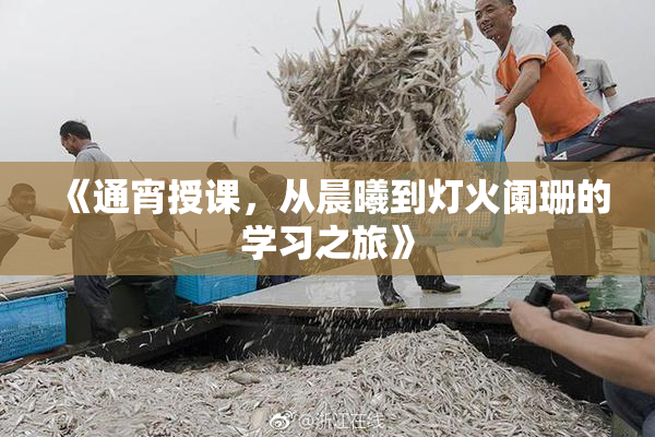 《通宵授课，从晨曦到灯火阑珊的学习之旅》