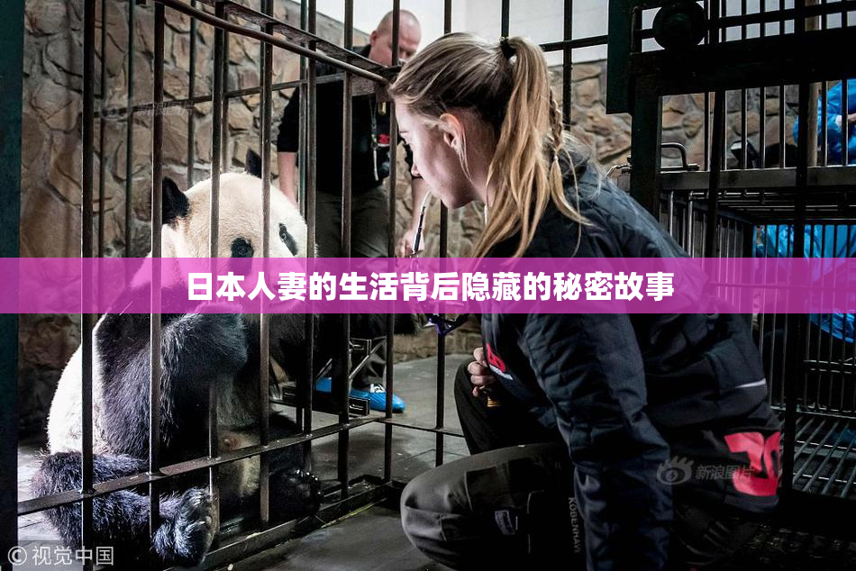 日本人妻的生活背后隐藏的秘密故事