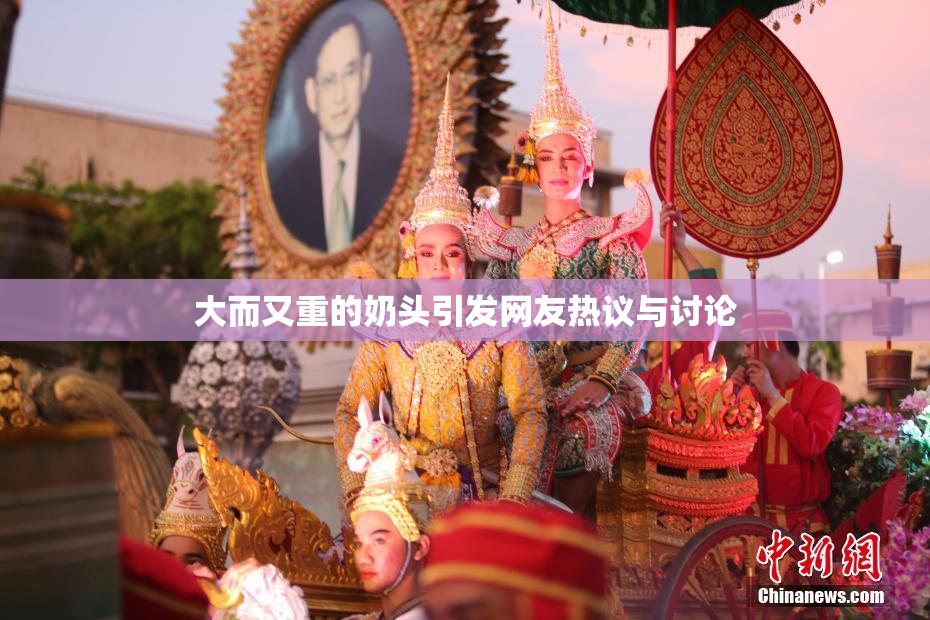 大而又重的奶头引发网友热议与讨论