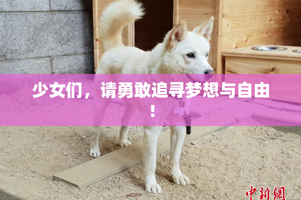 少女们，请勇敢追寻梦想与自由！