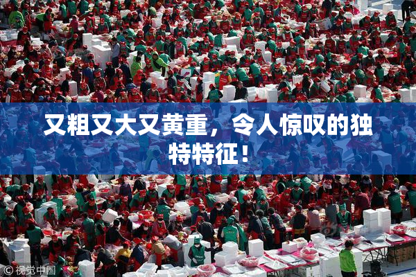 又粗又大又黄重，令人惊叹的独特特征！