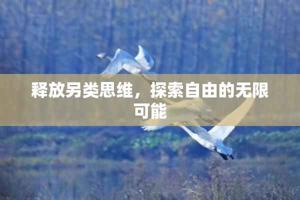 释放另类思维，探索自由的无限可能