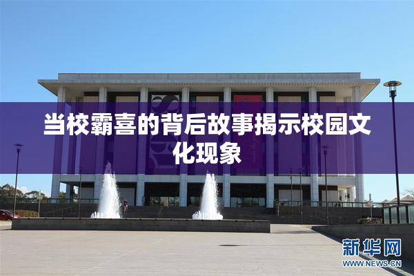 当校霸喜的背后故事揭示校园文化现象