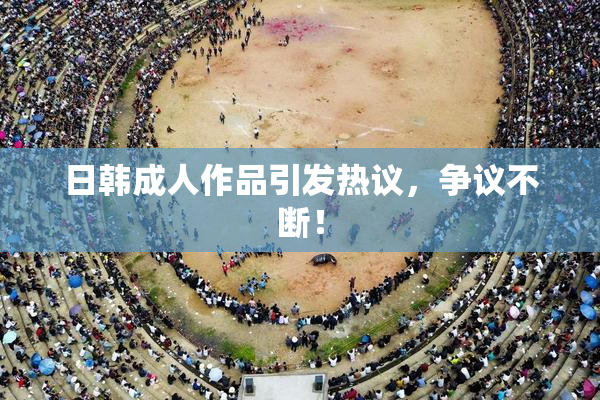 日韩成人作品引发热议，争议不断！