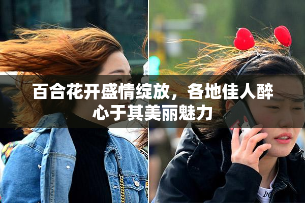 百合花开盛情绽放，各地佳人醉心于其美丽魅力