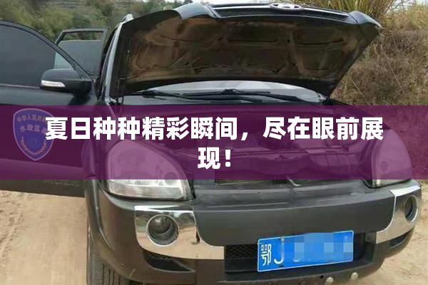 夏日种种精彩瞬间，尽在眼前展现！