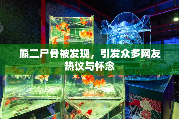 熊二尸骨被发现，引发众多网友热议与怀念