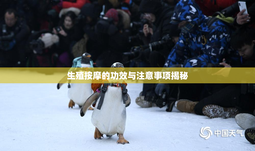 生殖按摩的功效与注意事项揭秘