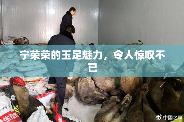 宁荣荣的玉足魅力，令人惊叹不已