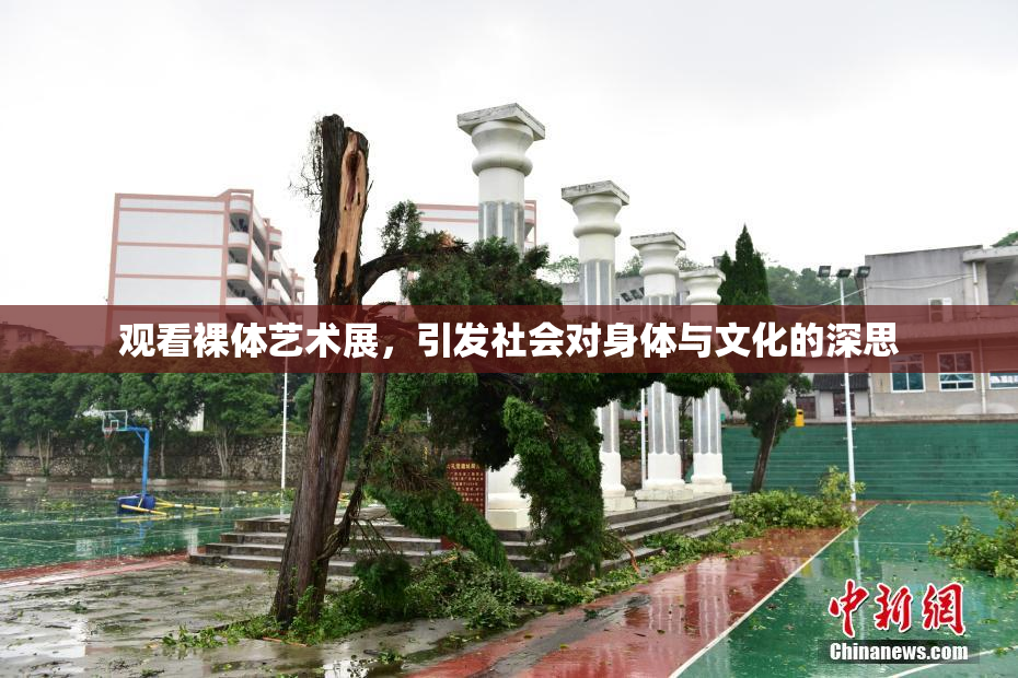 观看裸体艺术展，引发社会对身体与文化的深思