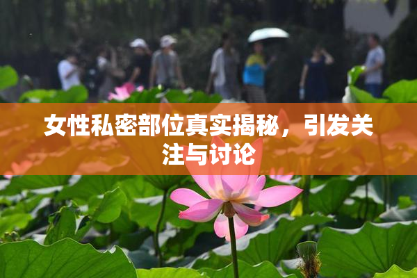 女性私密部位真实揭秘，引发关注与讨论