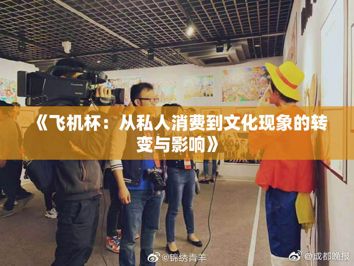 《飞机杯：从私人消费到文化现象的转变与影响》