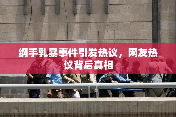 纲手乳暴事件引发热议，网友热议背后真相