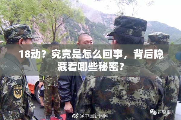 18动？究竟是怎么回事，背后隐藏着哪些秘密？