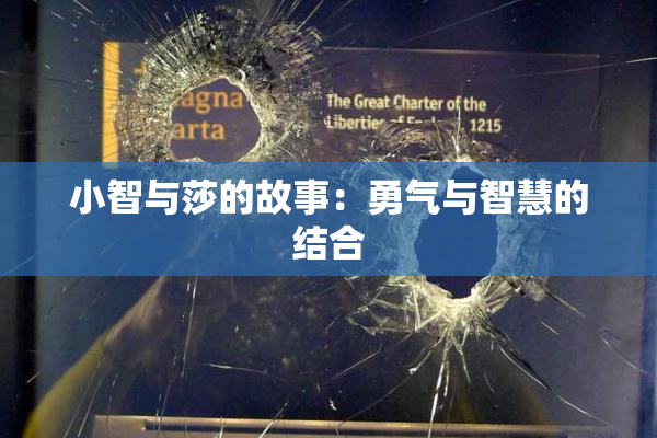 小智与莎的故事：勇气与智慧的结合