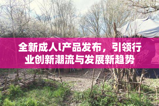 全新成人l产品发布，引领行业创新潮流与发展新趋势
