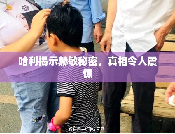 哈利揭示赫敏秘密，真相令人震惊