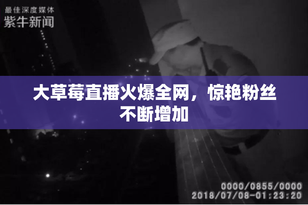 大草莓直播火爆全网，惊艳粉丝不断增加