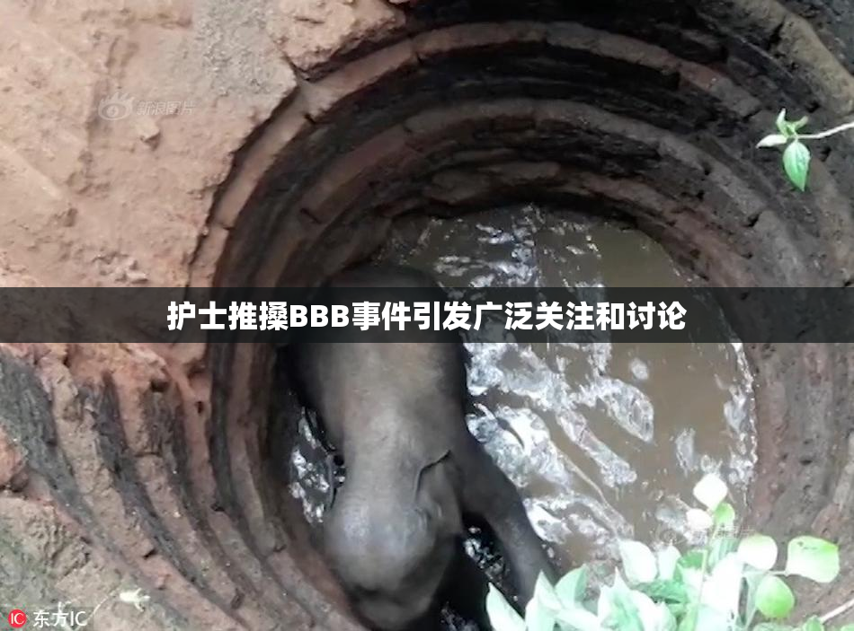 护士推搡BBB事件引发广泛关注和讨论