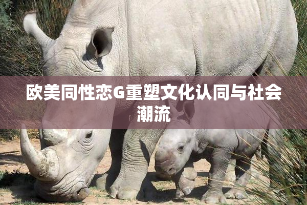 欧美同性恋G重塑文化认同与社会潮流