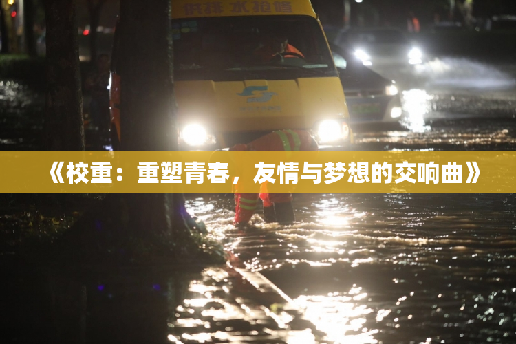 《校重：重塑青春，友情与梦想的交响曲》