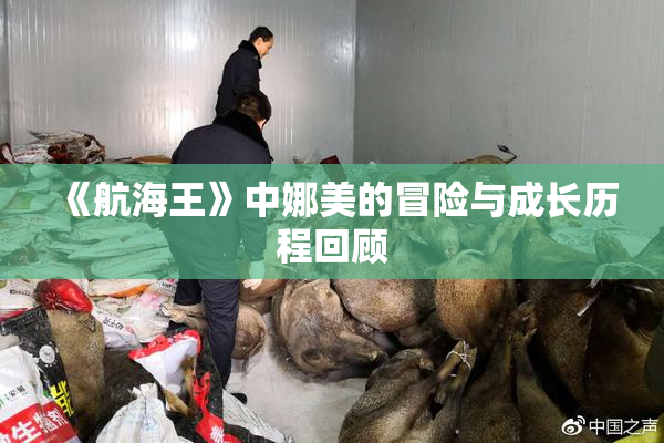 《航海王》中娜美的冒险与成长历程回顾