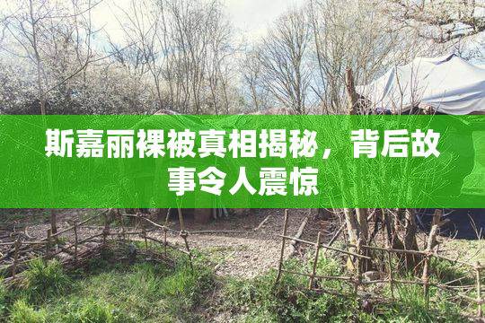 斯嘉丽裸被真相揭秘，背后故事令人震惊