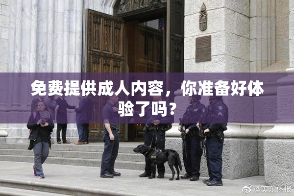 免费提供成人内容，你准备好体验了吗？