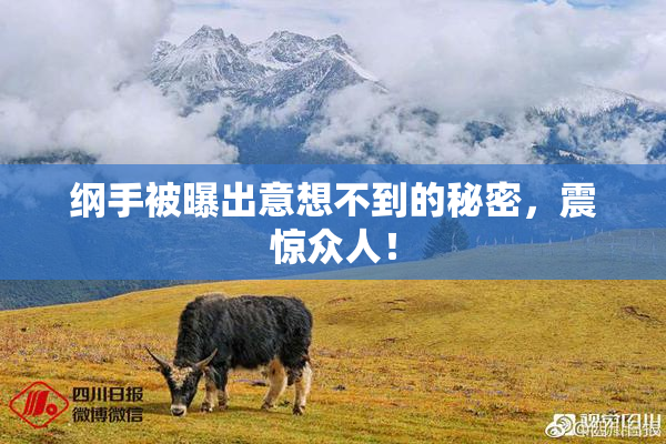 纲手被曝出意想不到的秘密，震惊众人！