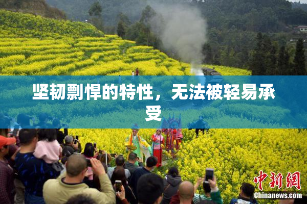 坚韧剽悍的特性，无法被轻易承受