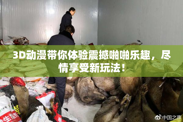 3D动漫带你体验震撼啪啪乐趣，尽情享受新玩法！