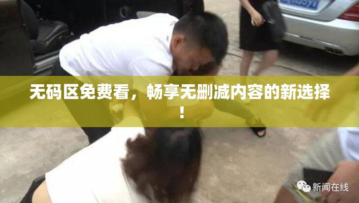 无码区免费看，畅享无删减内容的新选择！