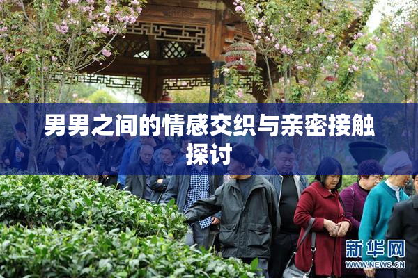 男男之间的情感交织与亲密接触探讨