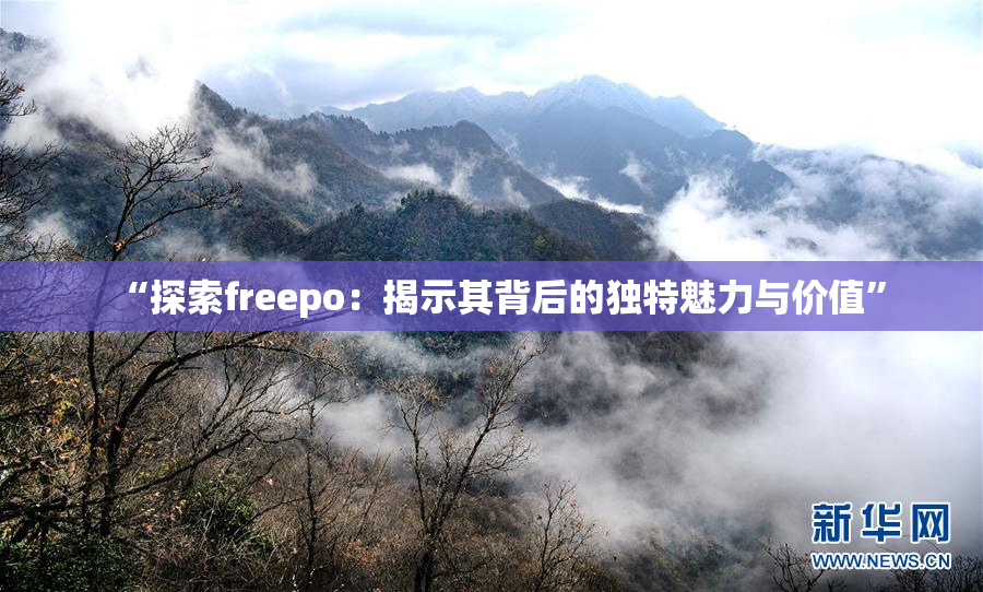 “探索freepo：揭示其背后的独特魅力与价值”