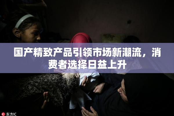 国产精致产品引领市场新潮流，消费者选择日益上升