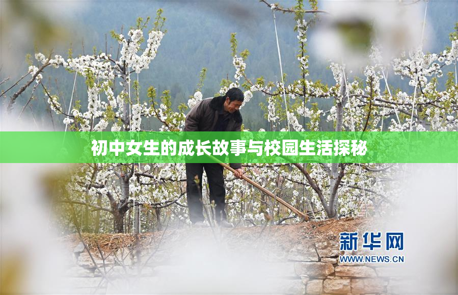 初中女生的成长故事与校园生活探秘
