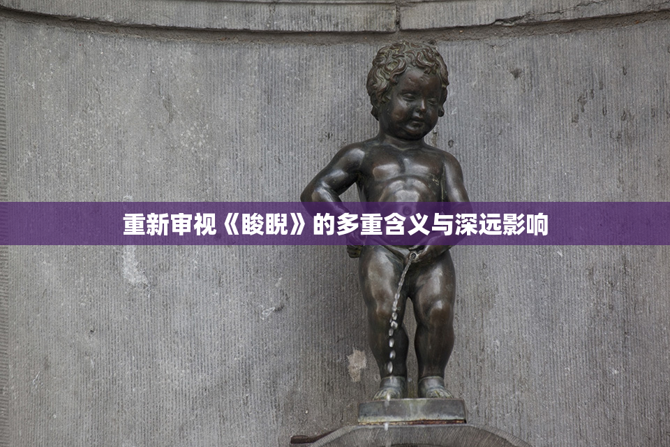 重新审视《睃睨》的多重含义与深远影响