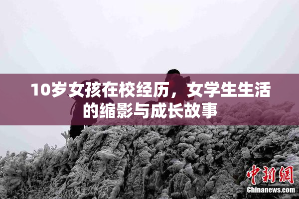 10岁女孩在校经历，女学生生活的缩影与成长故事