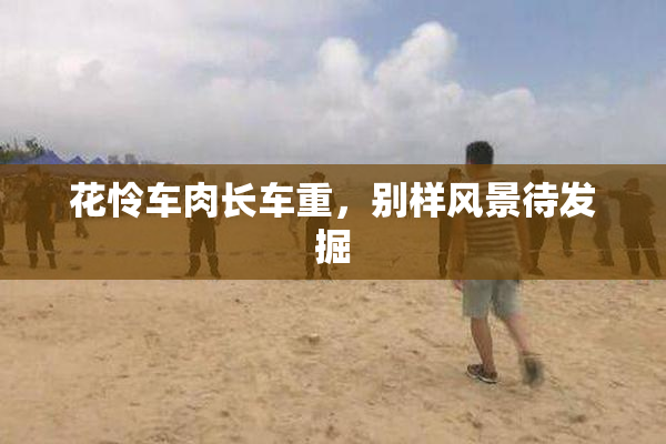 花怜车肉长车重，别样风景待发掘
