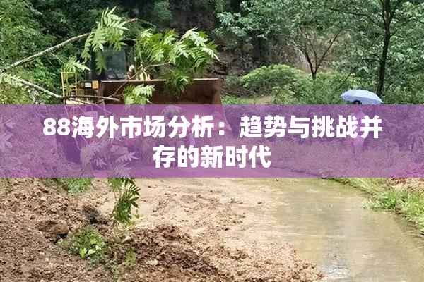 88海外市场分析：趋势与挑战并存的新时代