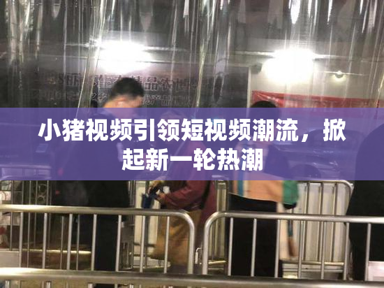 小猪视频引领短视频潮流，掀起新一轮热潮