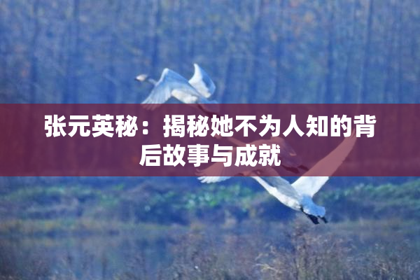 张元英秘：揭秘她不为人知的背后故事与成就