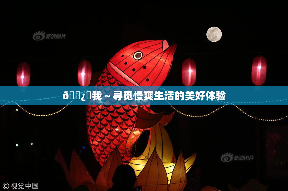 🌿‌我～寻觅慢爽生活的美好体验