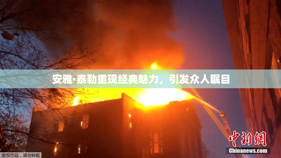安雅·泰勒重现经典魅力，引发众人瞩目
