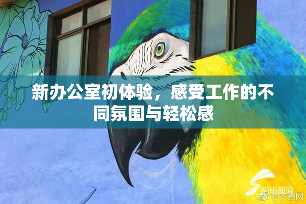 新办公室初体验，感受工作的不同氛围与轻松感