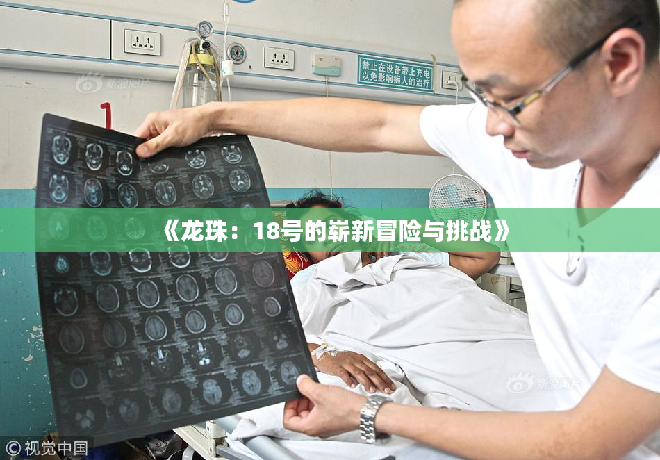 《龙珠：18号的崭新冒险与挑战》