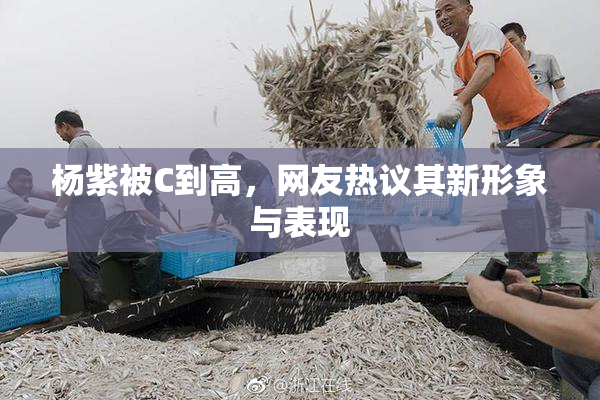杨紫被C到高，网友热议其新形象与表现