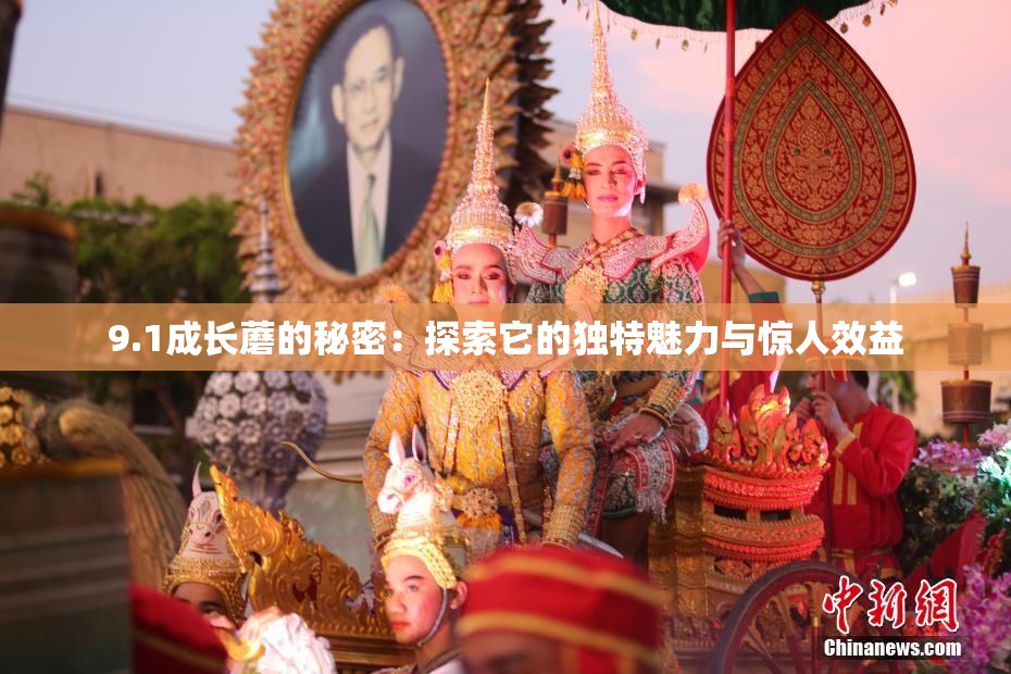9.1成长蘑的秘密：探索它的独特魅力与惊人效益