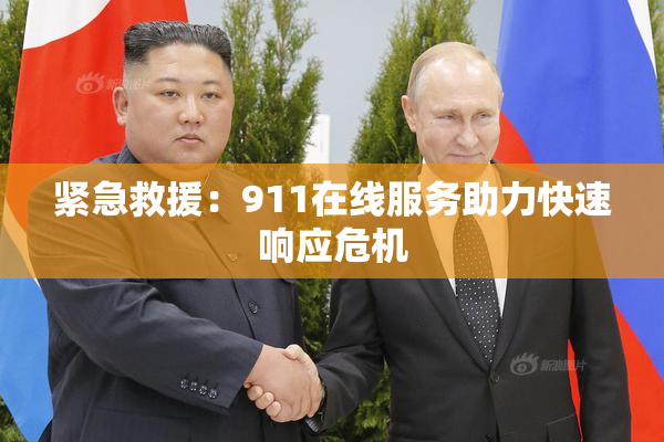紧急救援：911在线服务助力快速响应危机