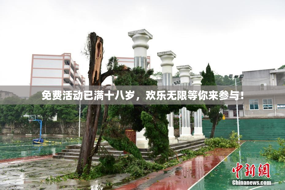 免费活动已满十八岁，欢乐无限等你来参与！